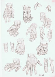 Hand study | pencil on paper - 12 x 8 inch